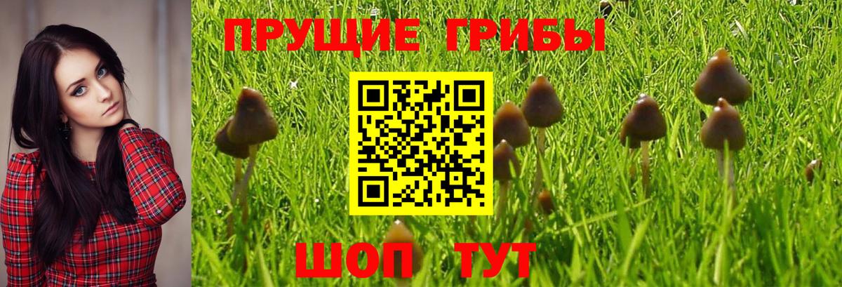 Надым  наркота  Вход с VPN  Галлюциногенные грибы MAGIC MUSHROOMS 