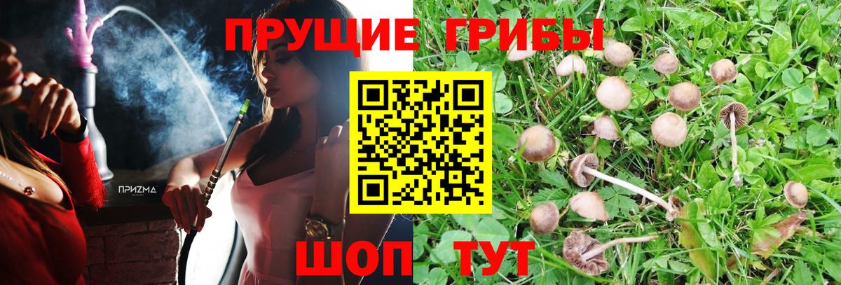 Галлюциногенные грибы мухоморы Надым